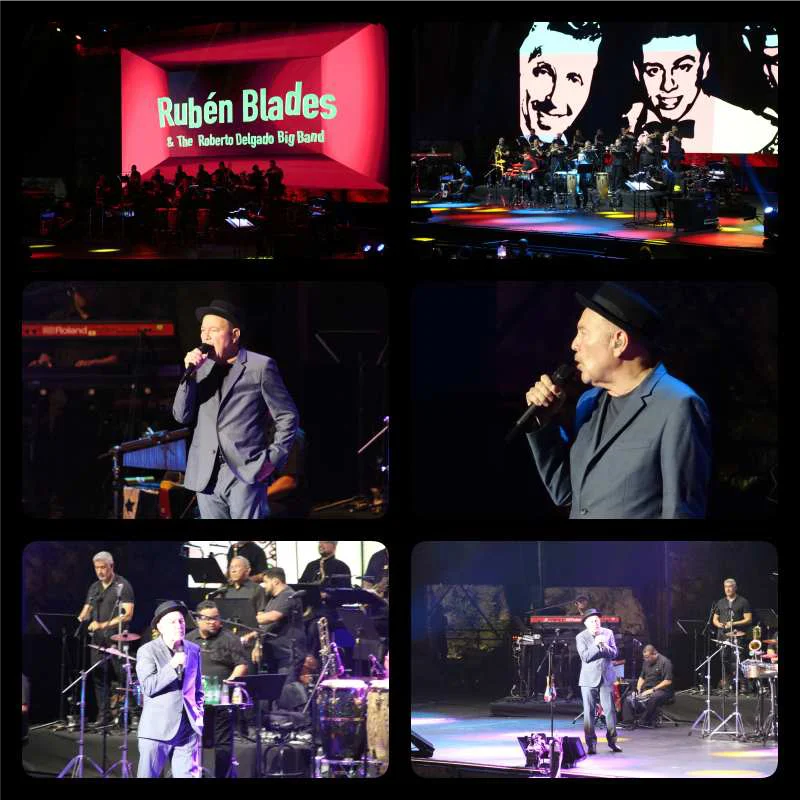 El talento latino inunda Starlite 3