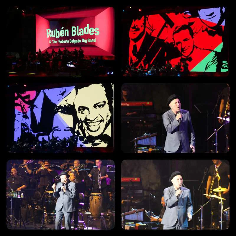 El talento latino inunda Starlite 4