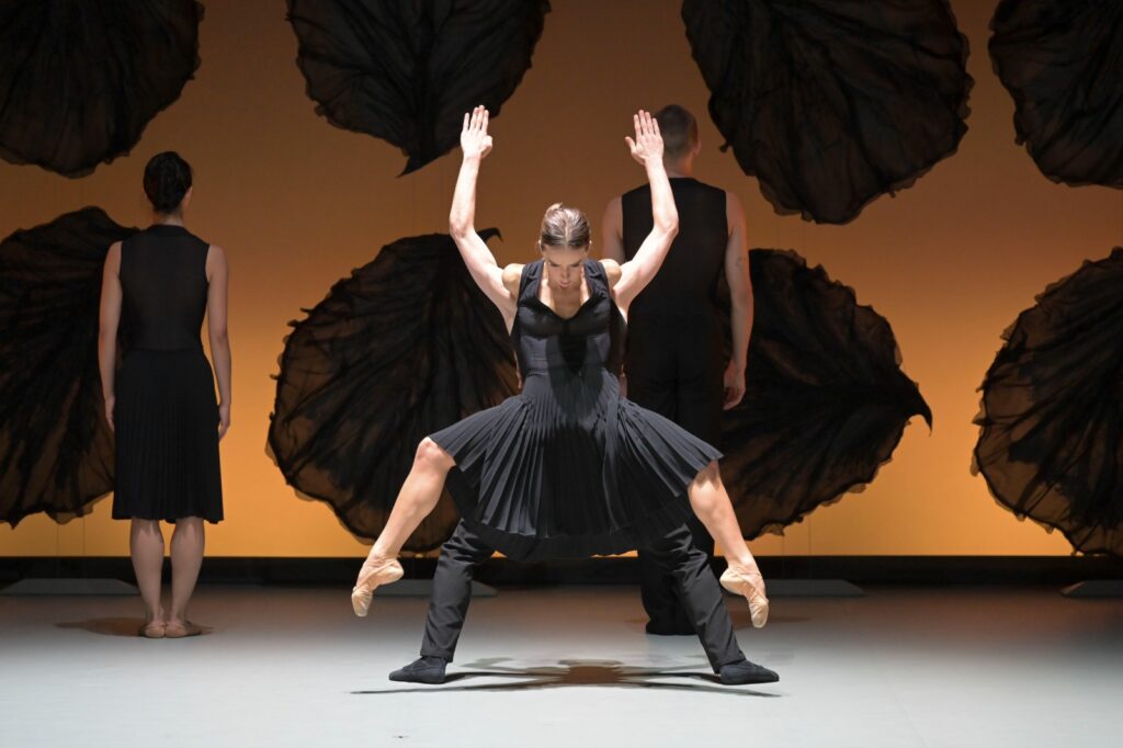 Arranca en Málaga el Festival TIP TOE